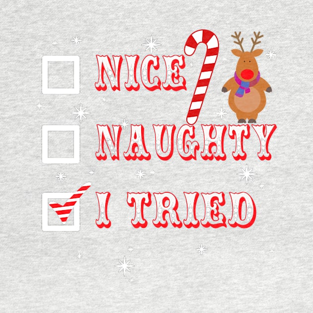 Nice Naughty I Tried Funny Christmas Gift Shirt by vamstudio